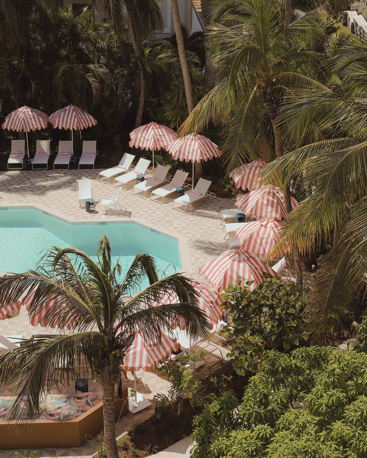 Ms. Piper's Kitchen + Garden Local Caribbean Menu, Photos, Reviews