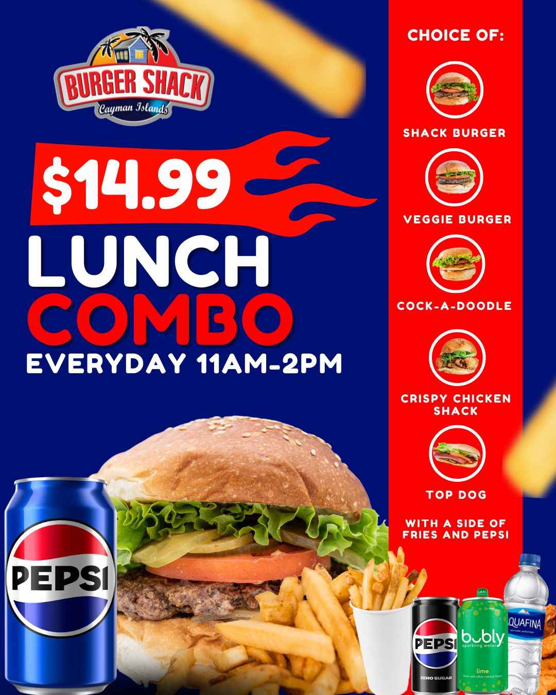 Lunch Combo at Burger Shack