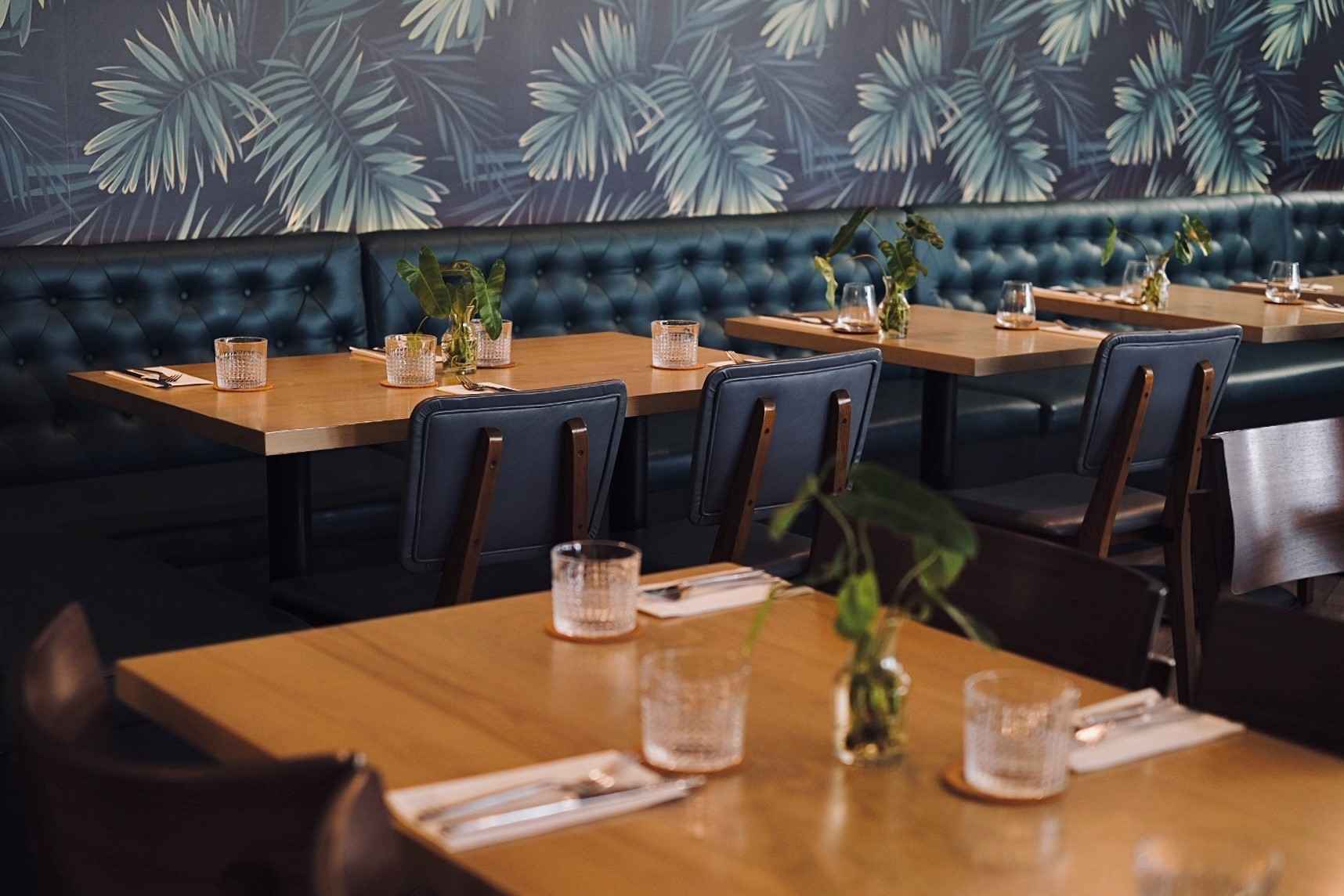 Bella Trattoria Italian Menu, Photos, Reviews Cayman Good Taste