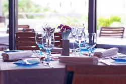 Blue Cilantro - Asian - Menu, Photos, Reviews | Cayman Good Taste