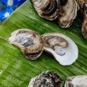 Oyster Ritual at Next Door