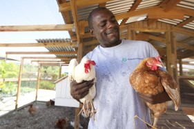 Made in Cayman: Why We Should Embrace Eating Local