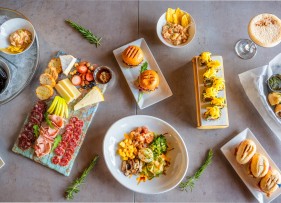 Vines to Ocean (v2o) Vines to Ocean (v2o)