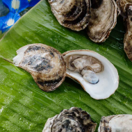 Oyster Ritual at Next Door
