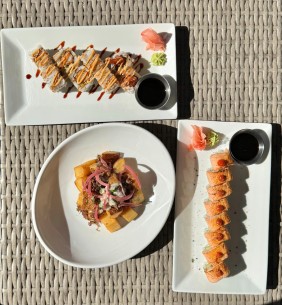 Vines to Ocean (v2o)