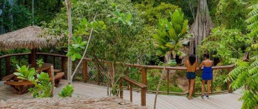 Treehouse Restaurant