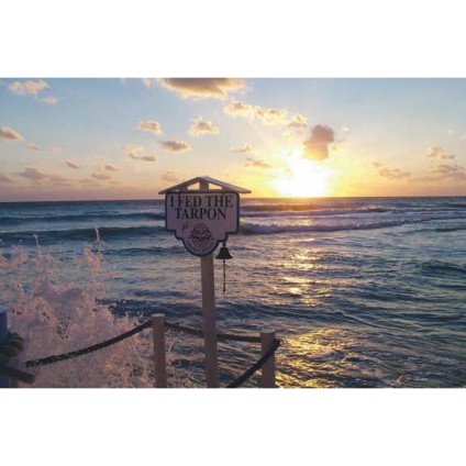  Feed the Tarpon! 