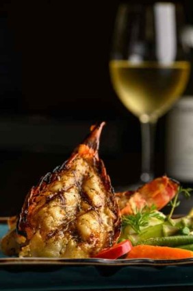 AbacusLobster2GT25-20250103111634