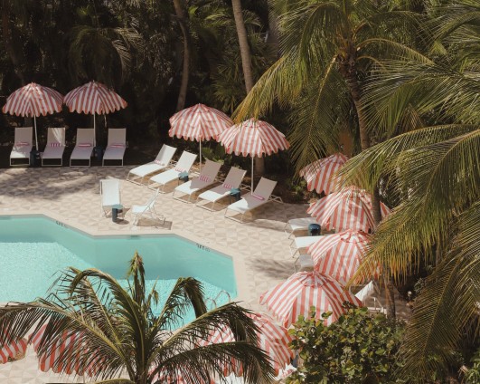  IMG4678-2.JPGcropped-20221130163156 