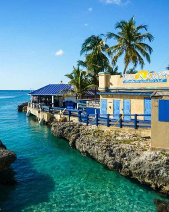  Image-20250108102301 