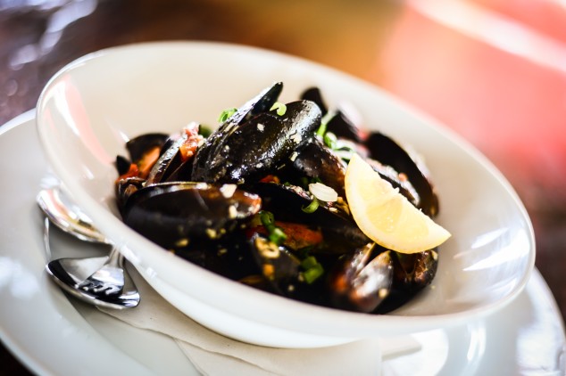  Morgan's Cayman Muscles Dish 