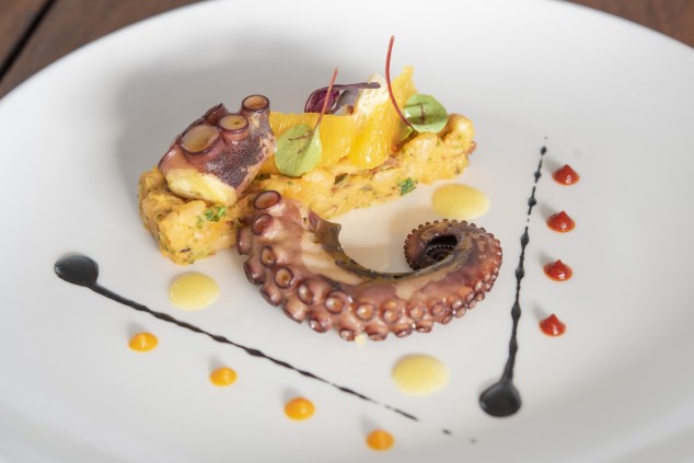  Octopus-20231124152344 
