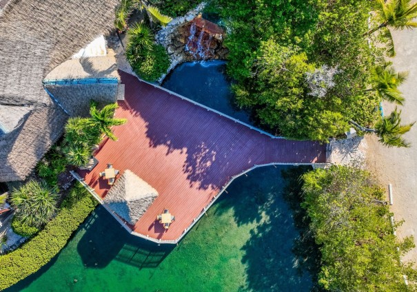 Pappagallo---low-20250318120230