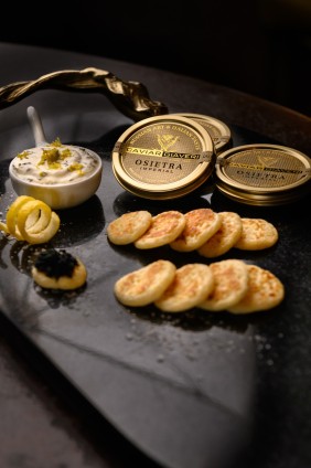  TLL6172-20251126084213 