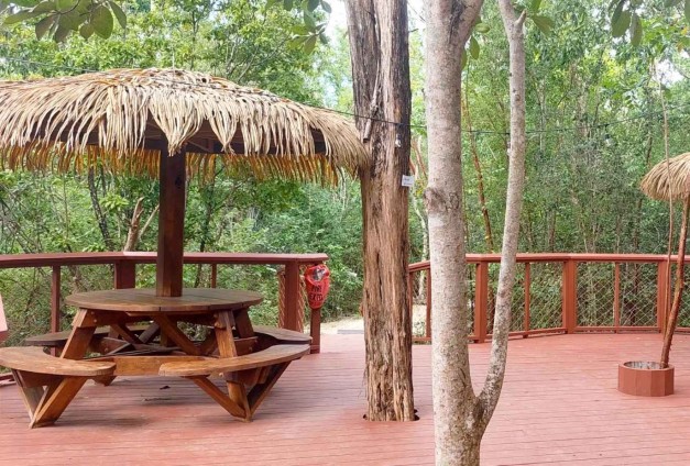  Treehouseoutside-20251218143223 