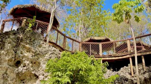  Treehouses-20250107165915 