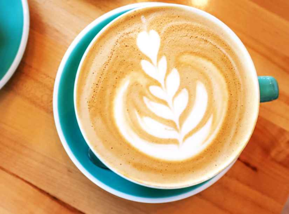 WEPIC1CROP-20231025120423