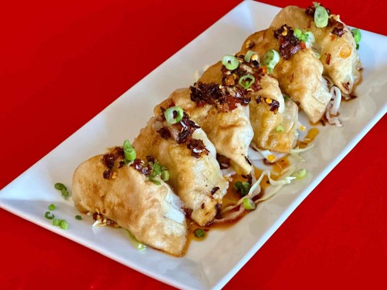  chickin-dumplings-20250106145408 