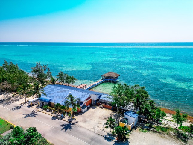 The Best Restaurants in East End